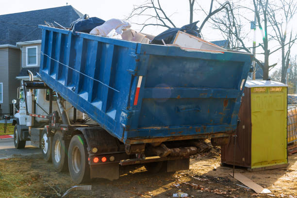 Best Shed Removal  in Robbinsdale, MN